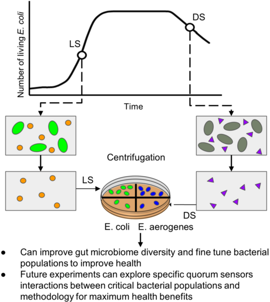 Intra and interspecies control of bacterial growth through extracellular extracts