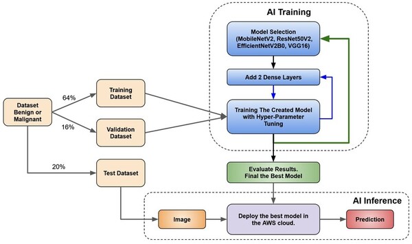 Transfer Learning with Convolutional Neural Network-Based Models for Skin Cancer Classification 