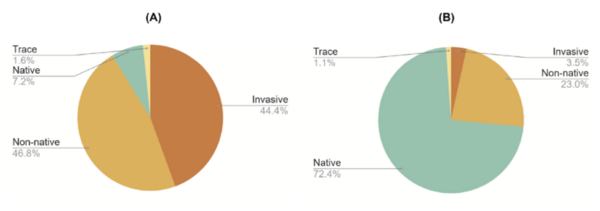 Nature’s reset: The effect of native and invasive plant forage on honey bee nutrition and survival