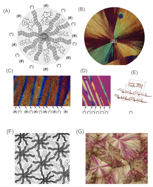 Optical anisotropy of crystallized vanillin thin film: the science behind the art