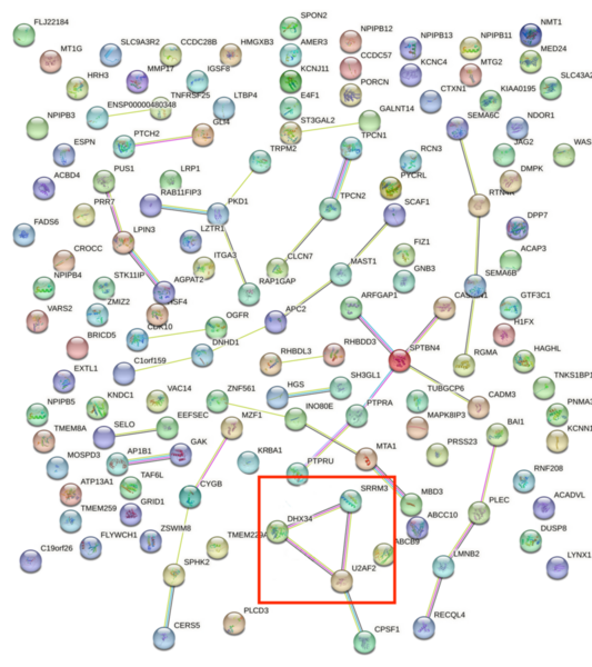 Transcriptomic profiling identifies differential gene expression associated with childhood abuse
