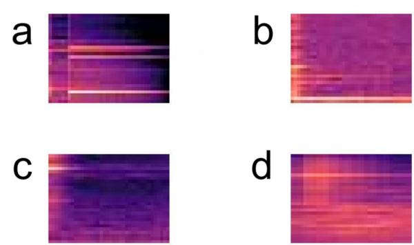 Using neural networks to detect and categorize sounds