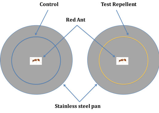 Repulsion of Ants Using Non-Toxic Household Products