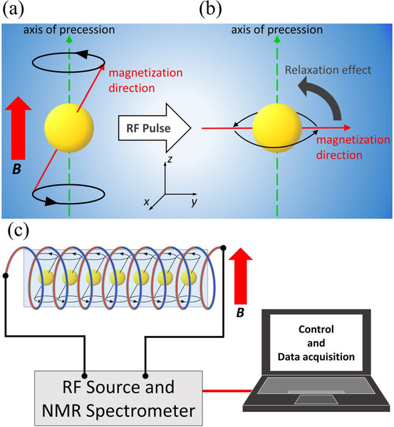 Contrast-Enhanced Magnetic Resonance Imaging at Earth’s Magnetic Field Using Trace Gd3+ and Ho3+ Salts