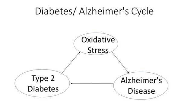 Potential Multifunctional Agents for Dual Therapy of Age-Related and Associated Diseases: Alzheimer’s Disease and Type 2 Diabetes Mellitus