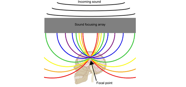 Focusing Sound Waves Using a Two-Dimensional Non-Linear System