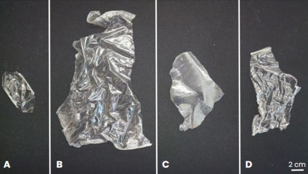 Synthesis of sodium alginate composite bioplastic films