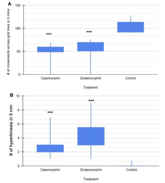 Digestion products of bread and cheese cause addictive behavior in a planaria model
