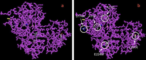 SOS-PVCase: A machine learning optimized lignin peroxidase with polyvinyl chloride (PVC) degrading properties
