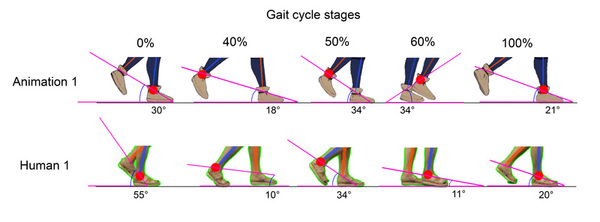 Qualitative tracking of human and animation motions reveals differences in their walking gaits