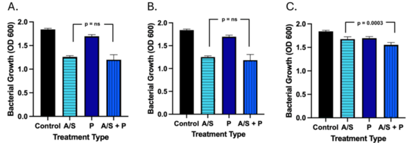 The effect of bioenhancers on ampicillin-sulbactam as a treatment against <i>A. baumannii<i>