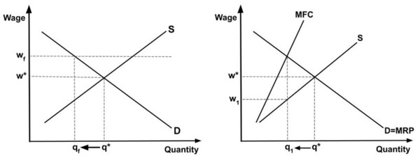 Long-run effects of minimum wage on labor market dynamics