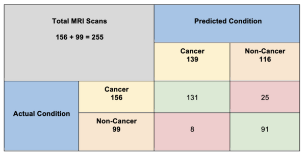 The utilization of Artificial Intelligence in enabling the early detection of brain tumors