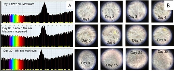 Optimized biochemical depolymerization of plastics from surgical face masks