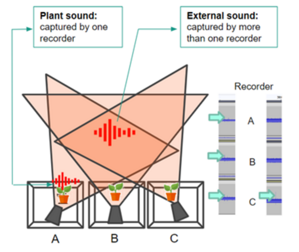 Impact of environmental stressors on ultrasonic acoustic emissions in different species of plants