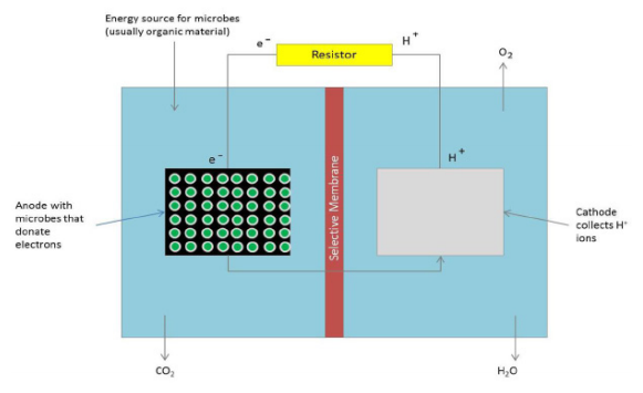 The Development and Maximization of a Novel Photosynthetic Microbial Fuel Cell Using <em>Rhodospirillum rubrum</em>