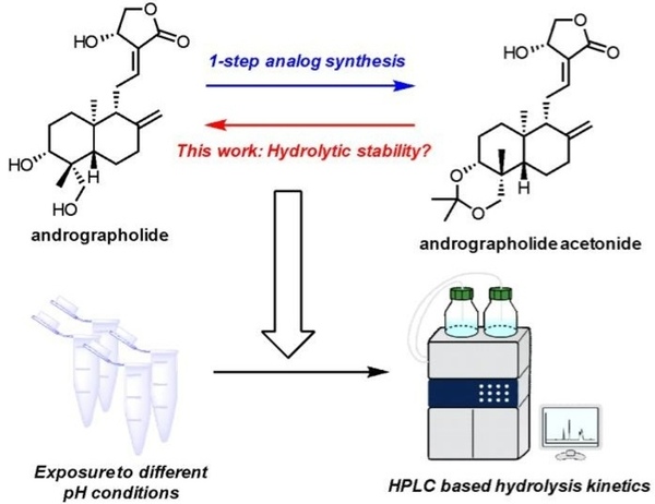 High-performance liquid chromatography insight in pH-dependent hydrolysis of andrographolide acetonide