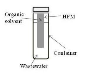 Development of Two New Efficient Means of Wastewater Treatment