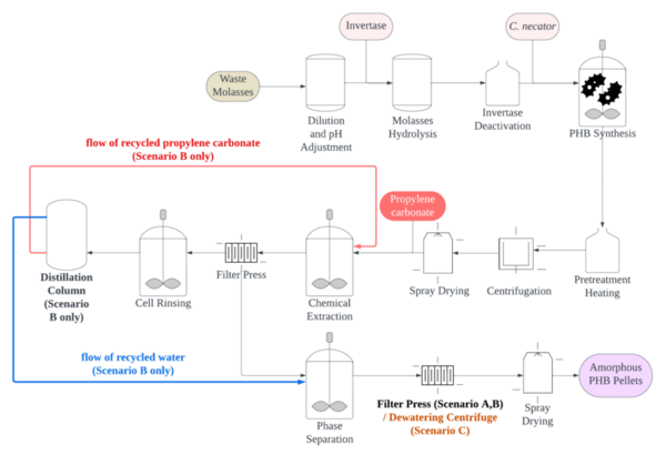 Comparative life cycle analysis: Solvent recycling and improved dewatering scenarios in PHB plastic production