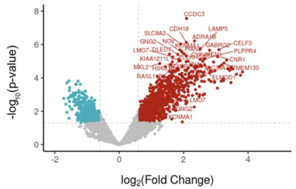 Gene expression analysis of febrile seizure’s impact on mesial temporal lobe epilepsy 