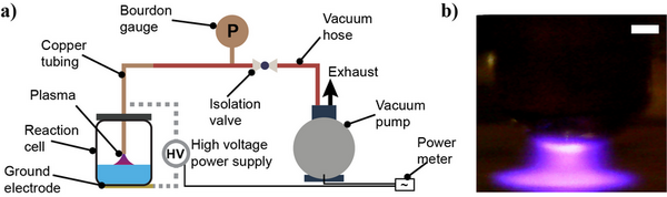 Nonthermal nitrogen fixation with air and water by using a low-pressure plasma