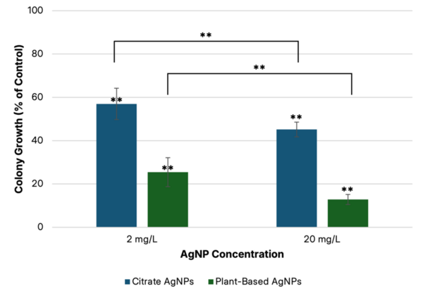 Investigating toxicity and antimicrobial properties of silver nanoparticles in <em>Escherichia coli</em> and <em>Drosophila melanogaster</em>