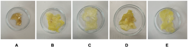A comparison of starches and plasticizers for biopolymer synthesis and degradation