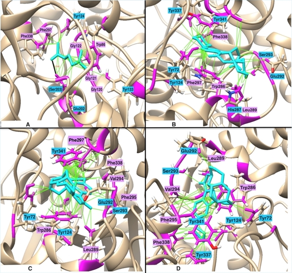 In silico design of novel acetylcholinesterase inhibitors as potential therapeutics for Alzheimer's disease