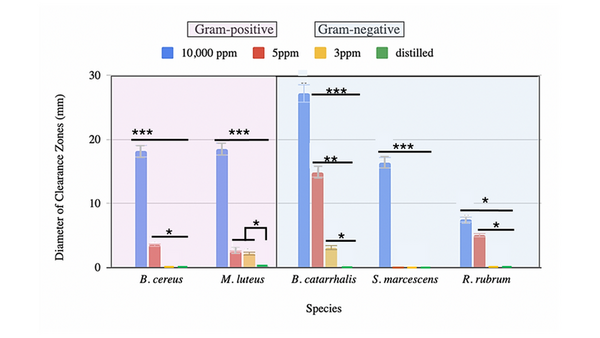 Silver armor against bacteria: A battle of antimicrobial effectiveness
