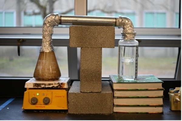 Effects of plant-derived smoke water on germination and growth in stressed plants