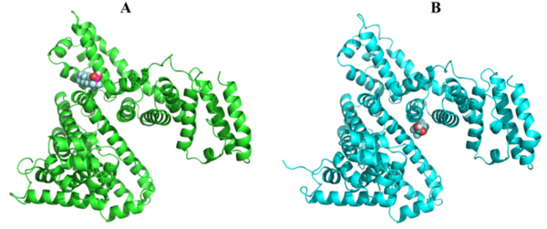 Cover photo for Exploring Interactions between PFAS (Per- and Polyfluoroalkyl Substances) and proteins