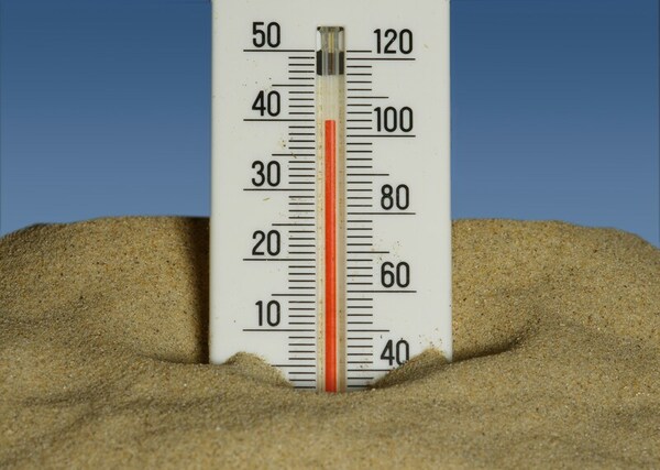 Too hot to work? Heat waves, household income, and labor adaptation in India