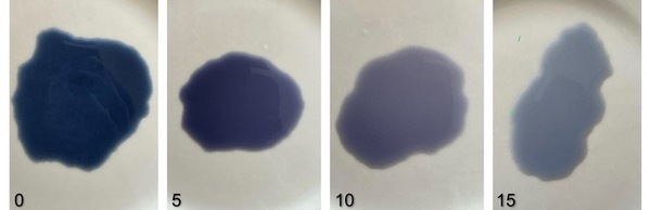 Alpha-amylase inhibitors: Cinnamomum cassia and Camellia sinensis extracts against type II diabetes