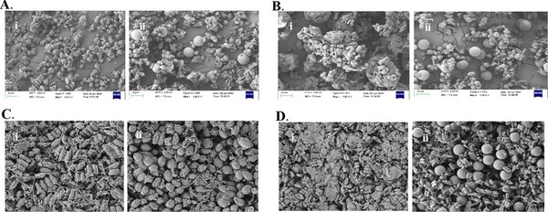 Differential physiological response of microalgae exposed to petroleum- and bio-based microplastics