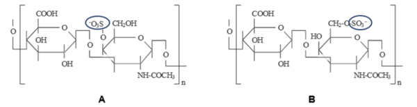 The effect of chondroitin sulfate on the development of plants grown in roadside soil