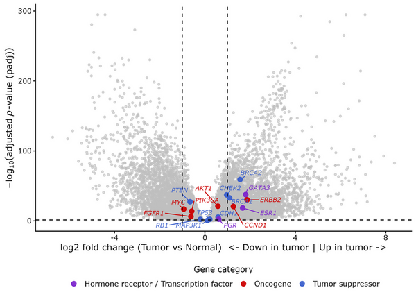 Cover photo for Integrated expression, mutation, and survival analysis of 17 key genes in breast cancer using TCGA-BRCA data