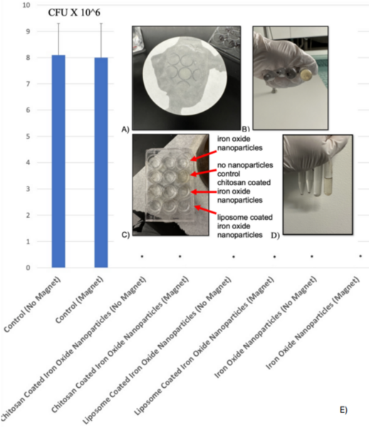 Cover photo for Iron oxide nanoparticles coated with liposomes and chitosan pass a model blood–brain barrier to kill bacteria