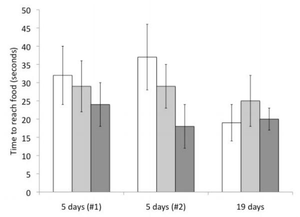 The Effects of Ocean Acidification on the food location behavior and Locomotion of Pagurus Longicarpus