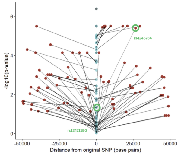 Investigating the contribution of genetic risk factors to gastric cancer in Korean-ancestry populations