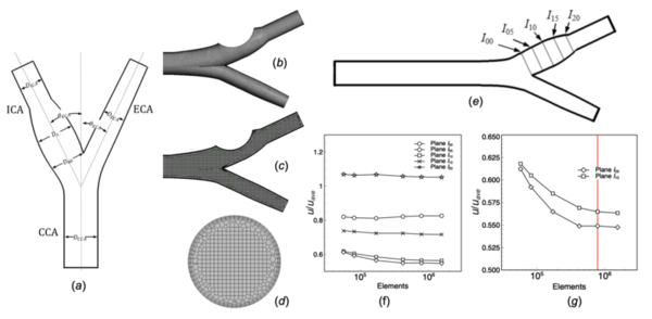 Cover photo for Study of PINN sensor layout in evaluating WSS with application to patient-specific carotid flow