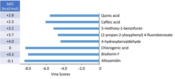 Cover photo for Computational prediction of chlorogenic acid binding to disease-linked proteins CHIT1 and CHI3L1