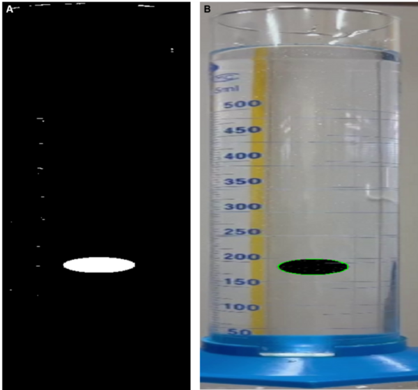 Cover photo for Calculating the dynamic viscosity of a fluid using image processing of a falling ball