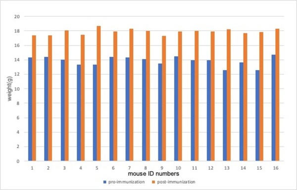 Immunogenicity of Minhai 13-valent pneumococcal polysaccharide conjugate vaccine in experimental mice