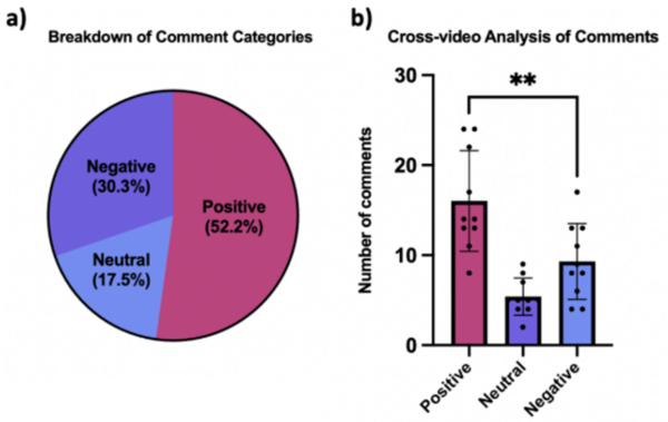 Cover photo for The characterizations and the anonymity of comments: A case study on Lizzo’s videos