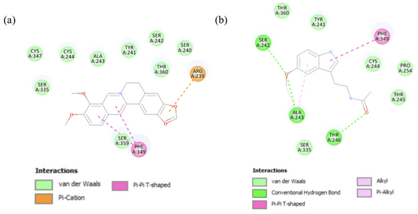 Novel anticancer effects of melatonin and berberine via signaling pathways in colorectal cancer and lymphoma