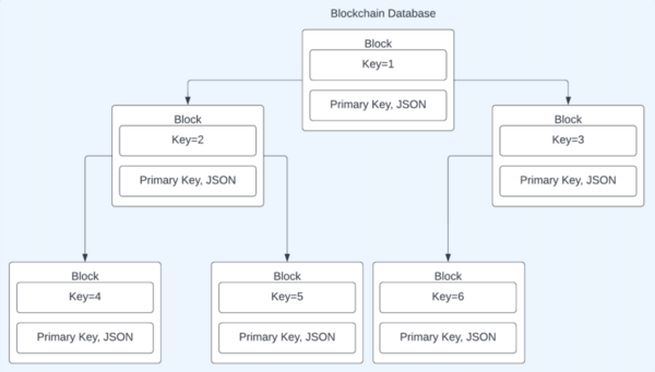 Cover photo for Blockchain Databases: Encrypted for Efficient and Secure NoSQL Key-Store