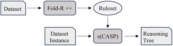 Explainable AI tools provide meaningful insight into rationale for prediction in machine learning models