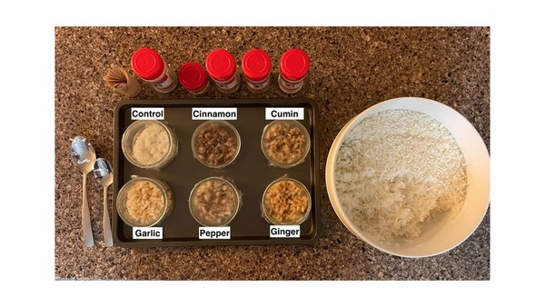 Cover photo for Effects of spices on rice spoilage