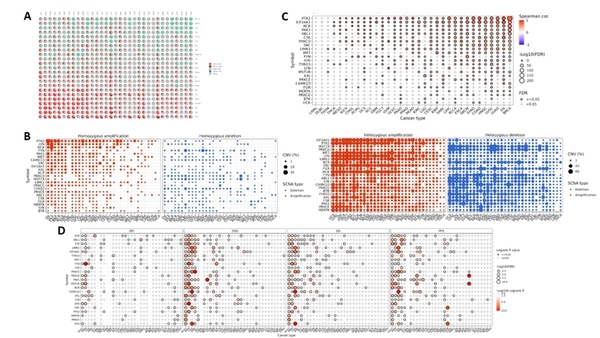 Protein kinases in phagocytosis (phagocytotic kinome): A promising biomarker set in cancer therapeutics