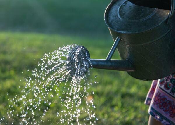Cover photo for More efficient sources of water distribution for agricultural and general usage
